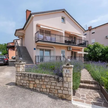 Apartment Masha Novigrad Istria Exterior foto