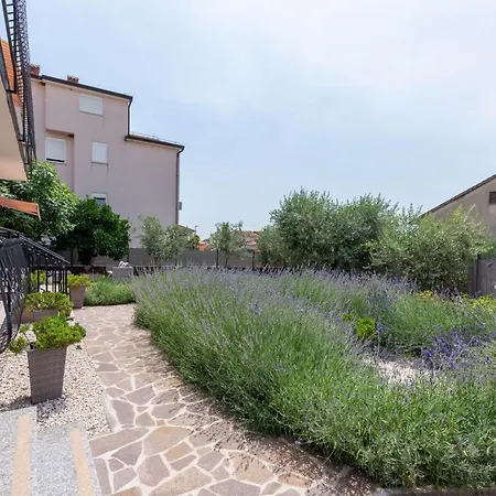 Apartment Masha Novigrad Istria Exterior foto