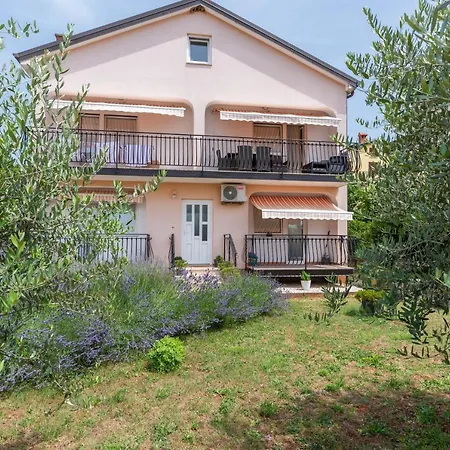 Apartment Masha Novigrad Istria Exterior foto